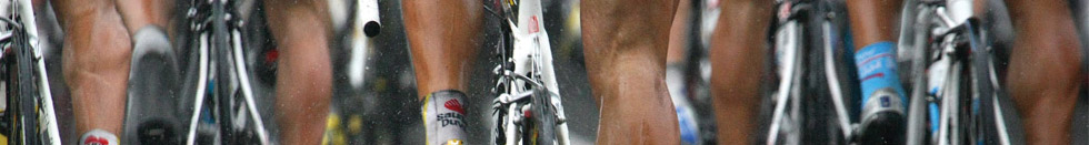 Cycling Legs Rule!